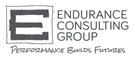 ENDURANCE CONSULTING GROUP